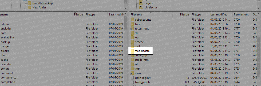 moodledata folder