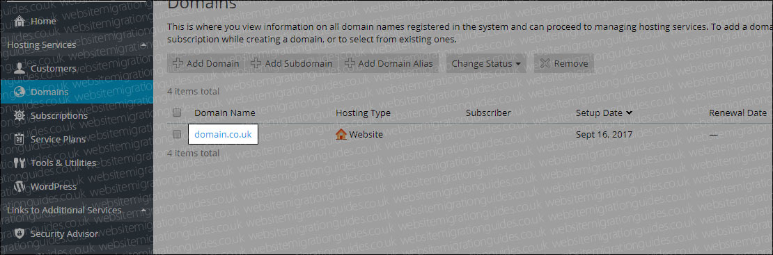domain name