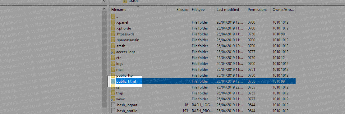 New hosts public_html folder